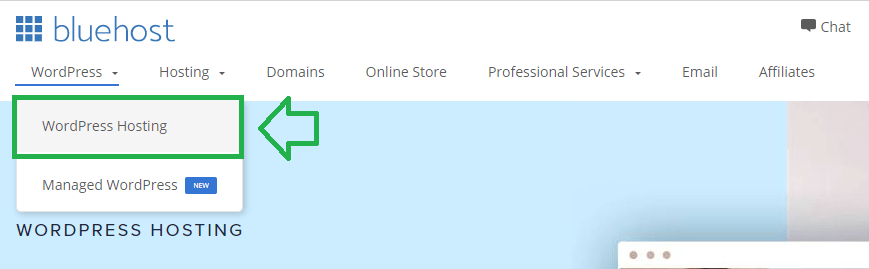 Setting up WordPress Hosting for new website