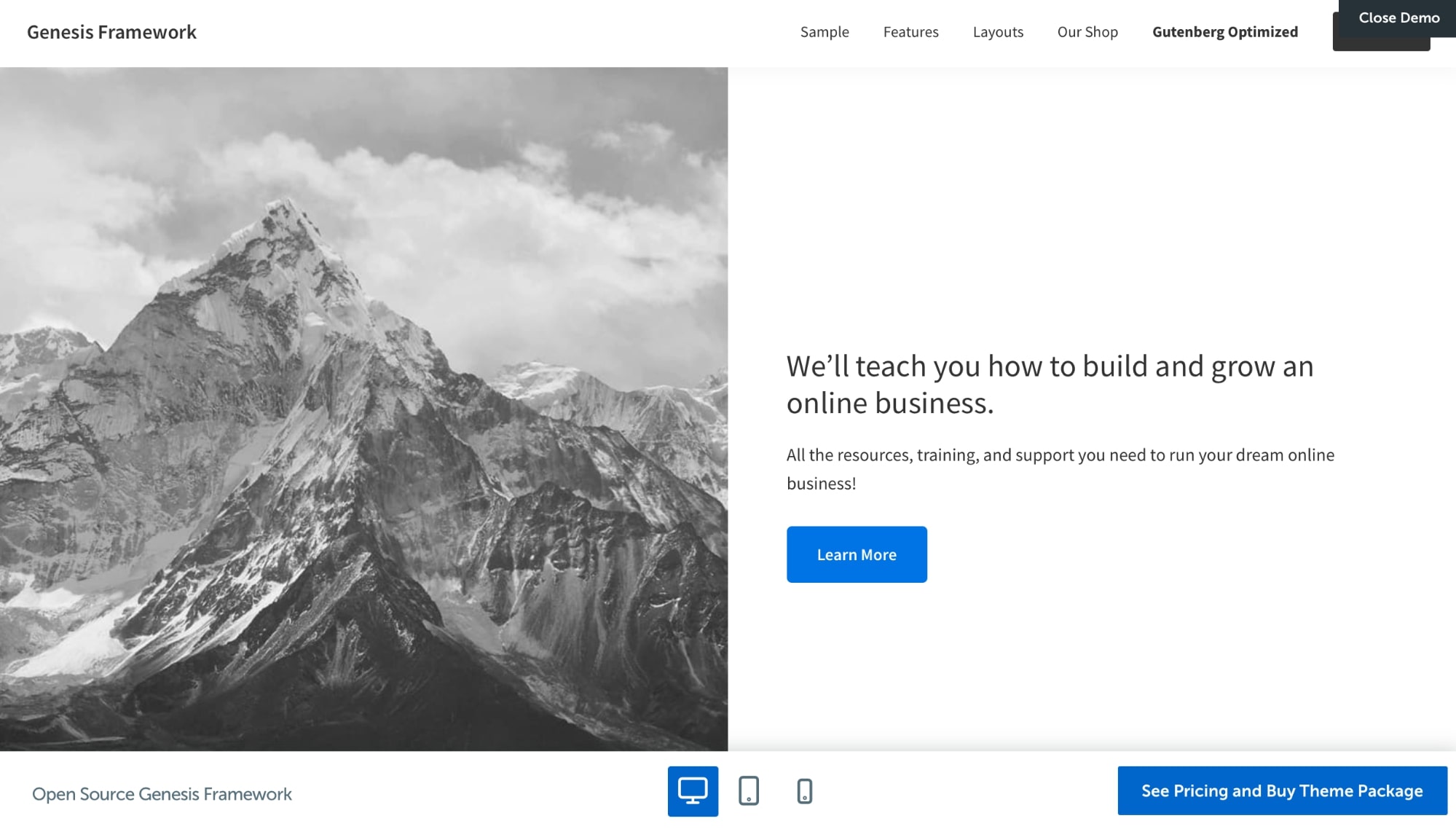 Divi vs Genesis theme framework 