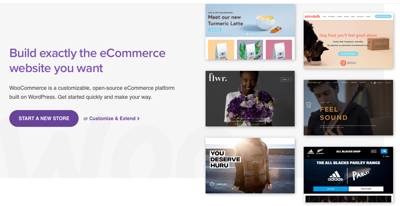 Best WooCommerce Page Builders