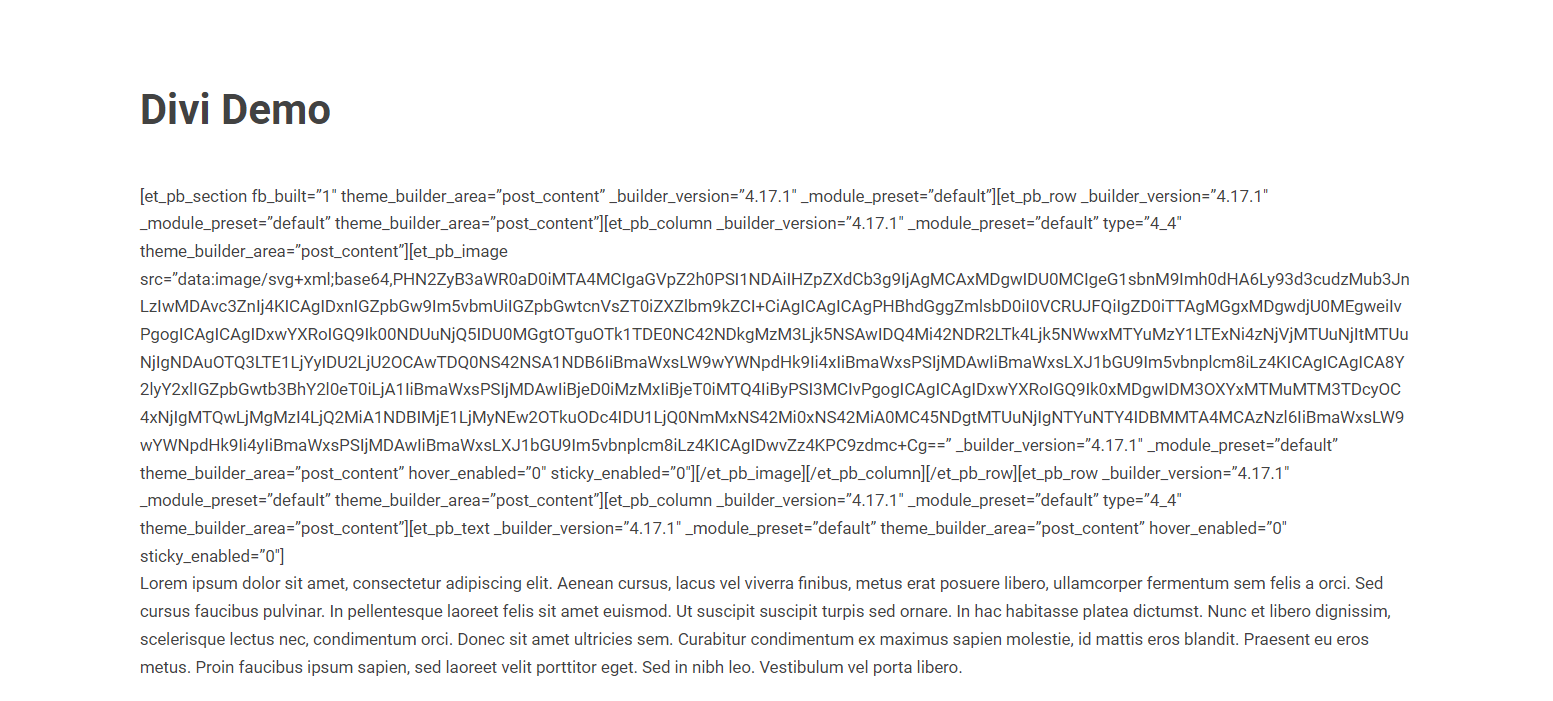 Divi code cleanliness