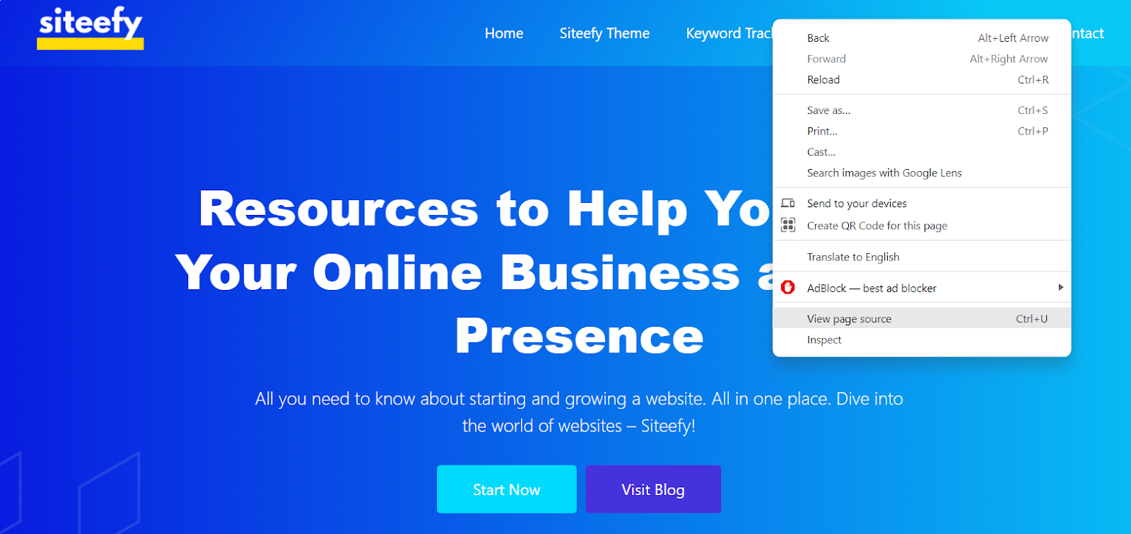 Check website source code