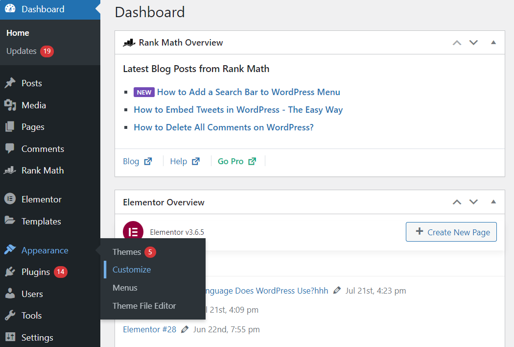 Access to WP Theme Customizer