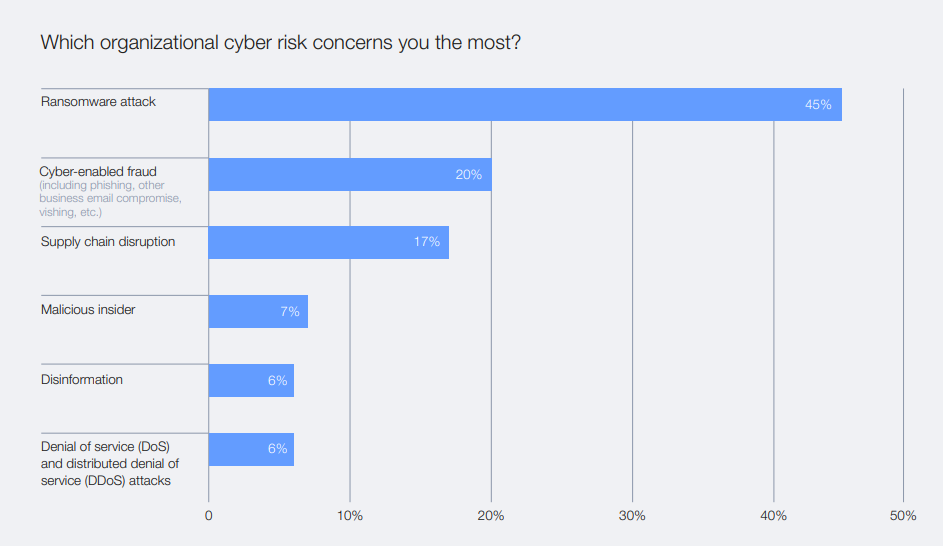 Most Concerning Cyber Risks for Organizations in 2025